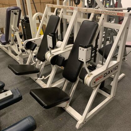 David bicep curl and arm extension
