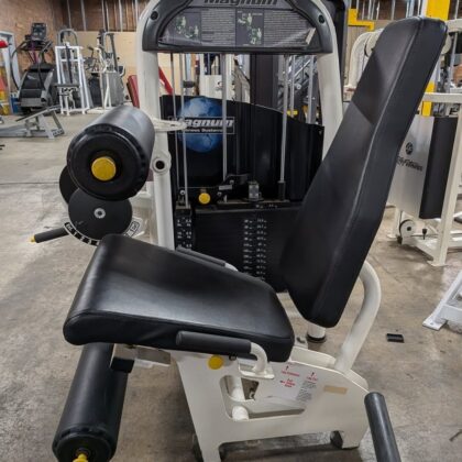Magnum leg extension/leg curl combo