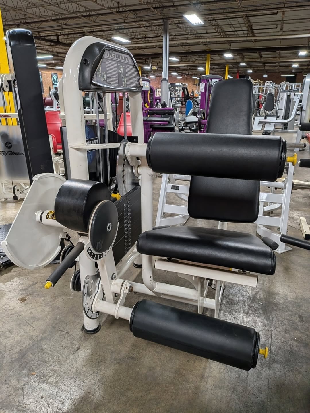 Magnum leg extension/leg curl combo - Image 2