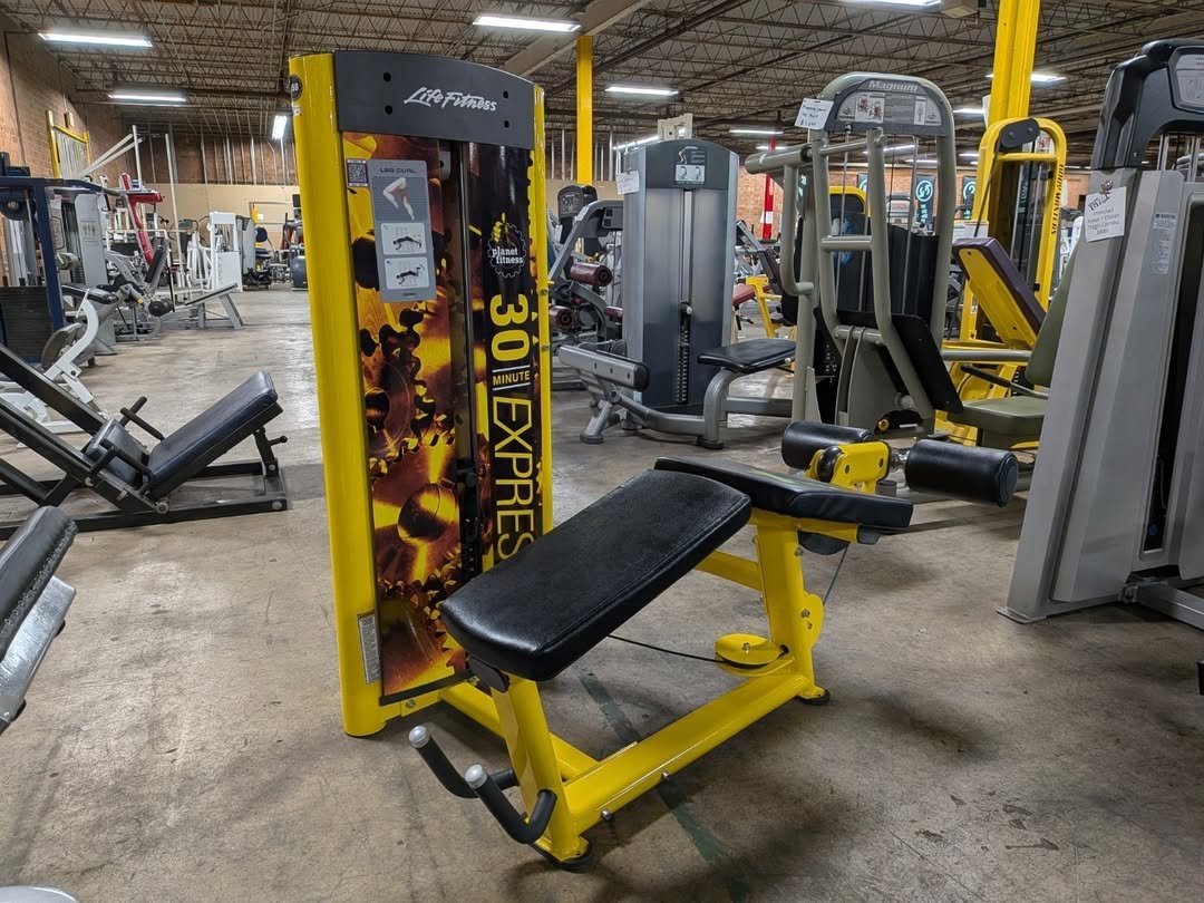 Life Fitness prone leg curl - Image 4
