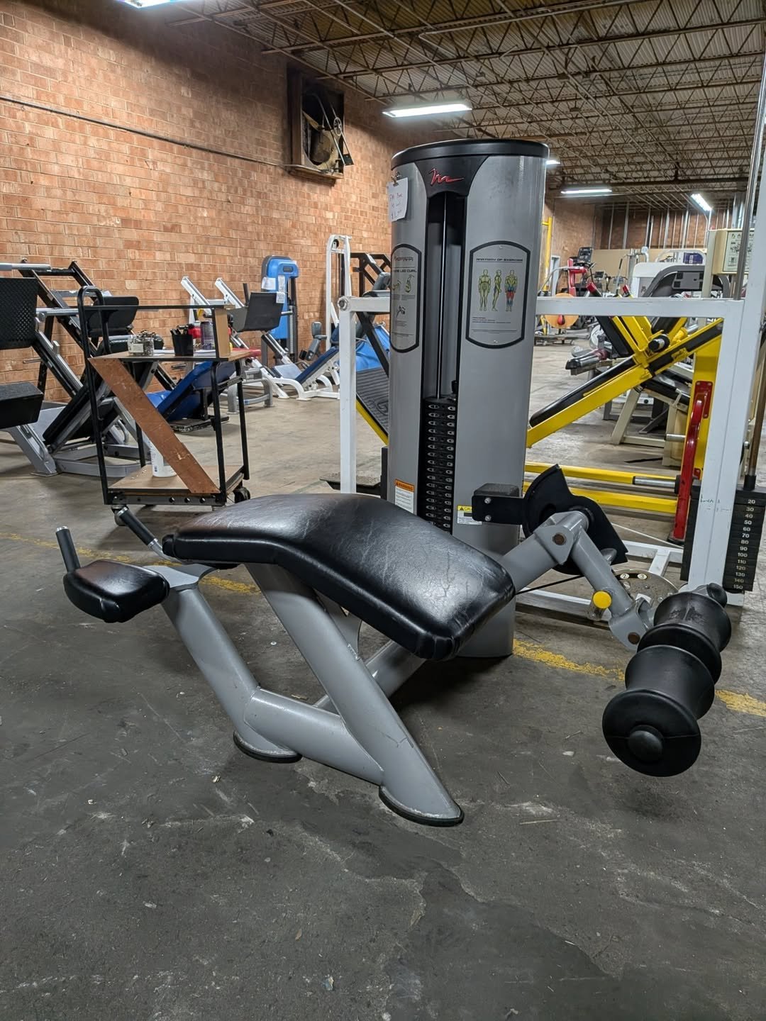 FreeMotion prone leg curl - Image 2