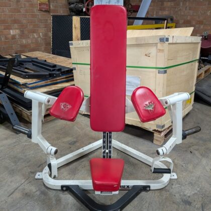 Cyber plate loaded arm curl