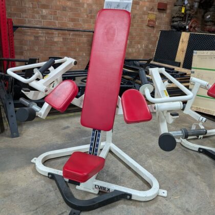 Cybex plate loaded arm extension