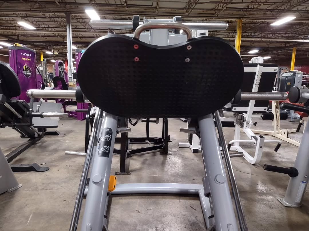 Matrix plate loaded leg press - Image 4