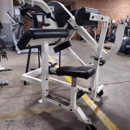 Strive Tricep extension
