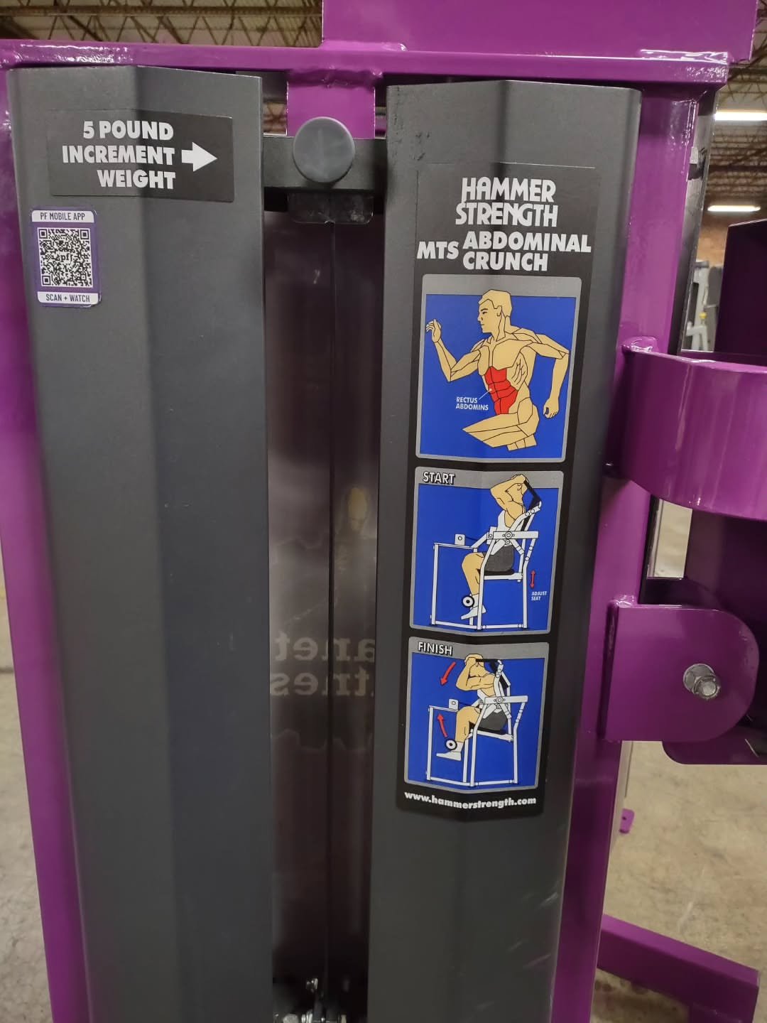 Hammer strength MTS abdominal crunch - Image 3