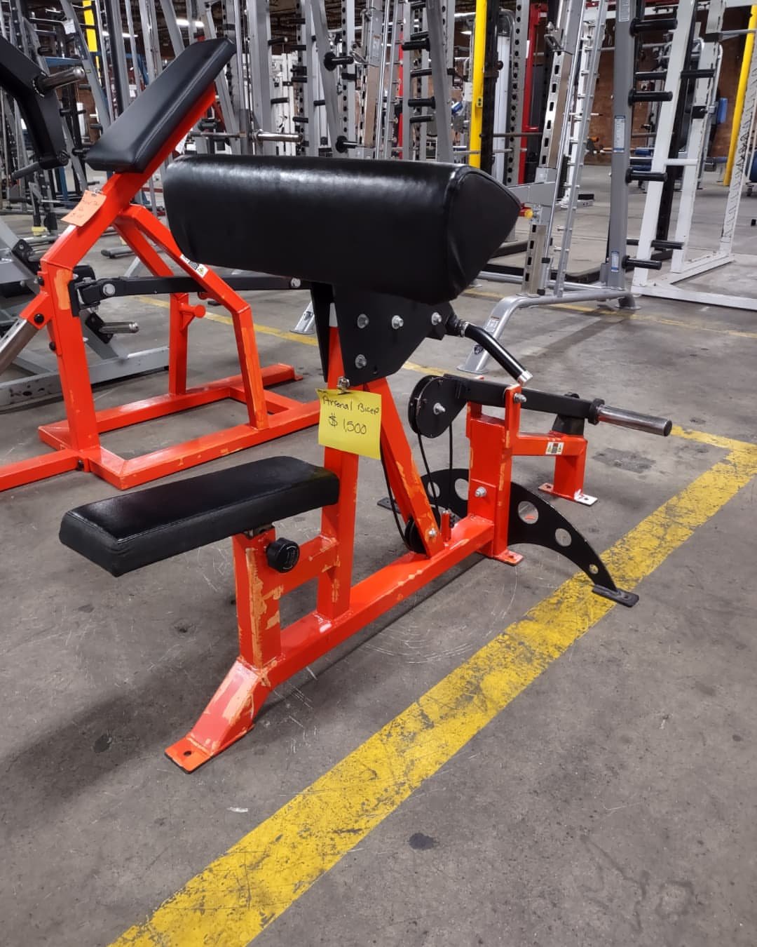 Arsenal Strength Plate-Loaded Bicep Curl – Commercial Arm Isolation Machine for Maximum Biceps Development - Image 2